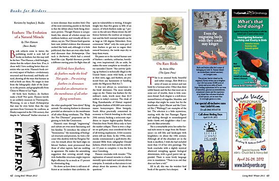 Book Review: On Rare Birds, by Anita Albus