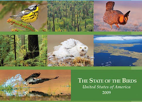 2009 State of the Birds report cover