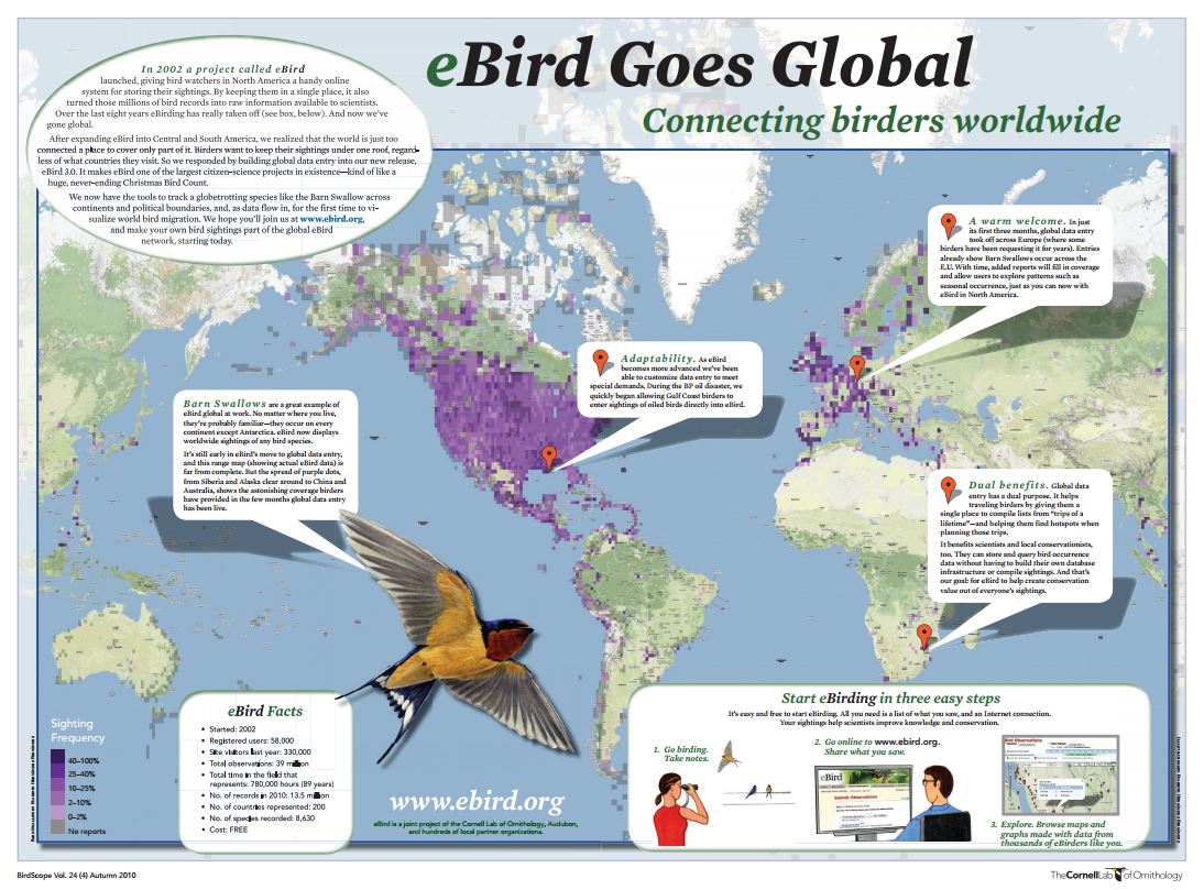 eBird goes global, connecting birders worldwide, click to download the PDF