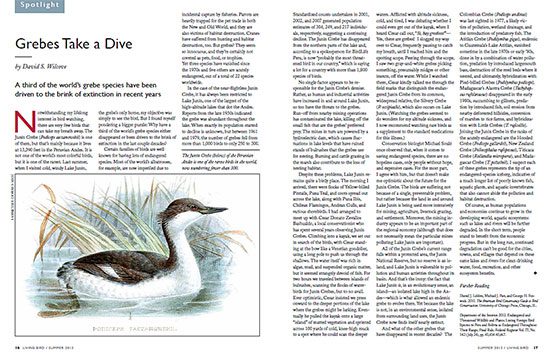 Declining populations of grebes