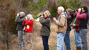 Group of bird watchers by Joan Condon