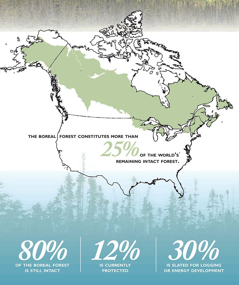 Boreal Forest Conservation map