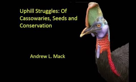 Dr. Andrew Mack presents a Monday Night Seminar: Uphill Struggles: Cassowaries, Seeds, and Conservation in New Guinea
