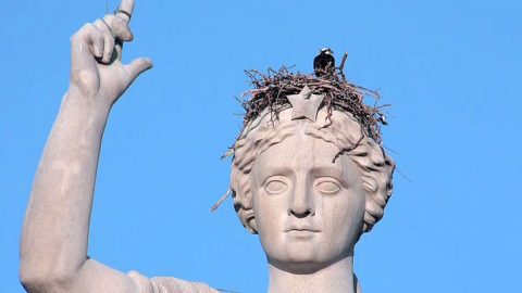 Bird nesting on statue