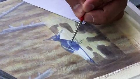 Painting the Imperial Woodpecker