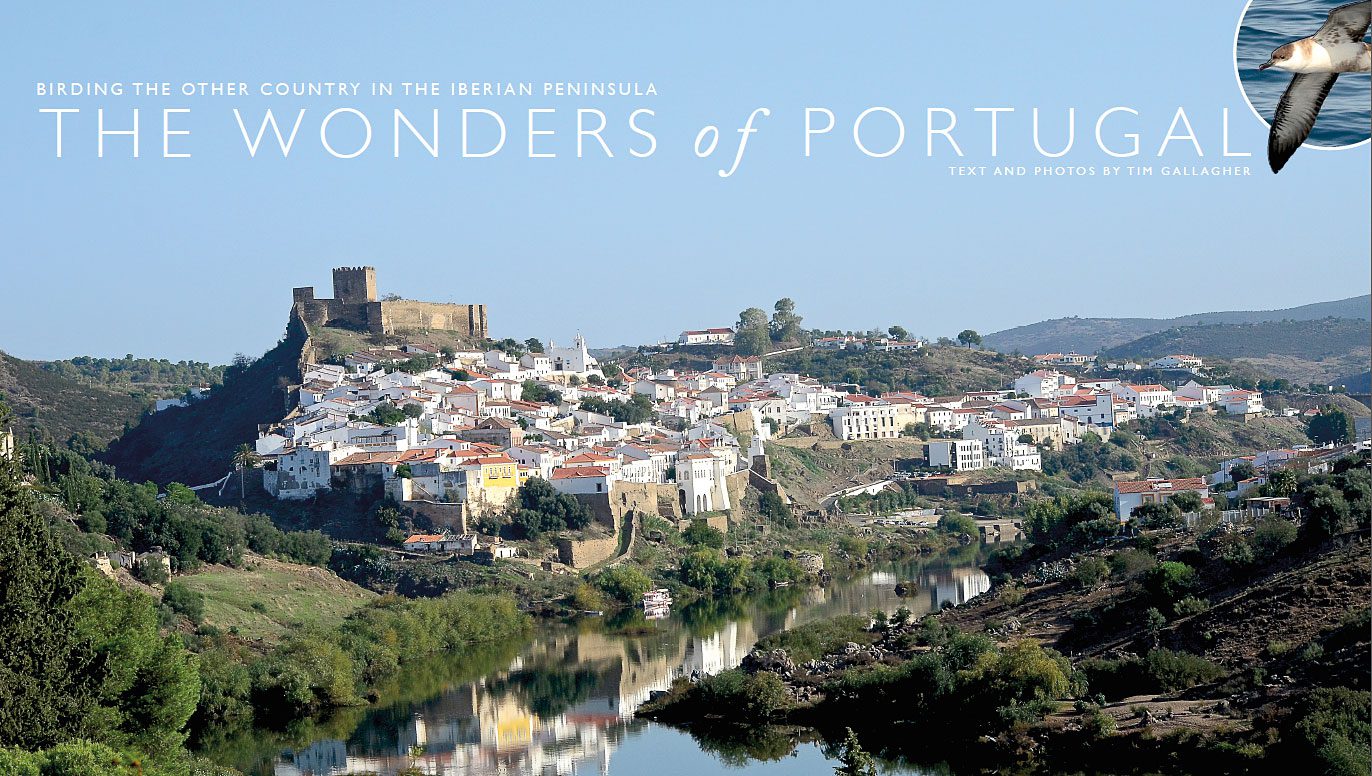 The town of Mértola, Portugal.