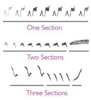 bird songs with one, two, and three sections