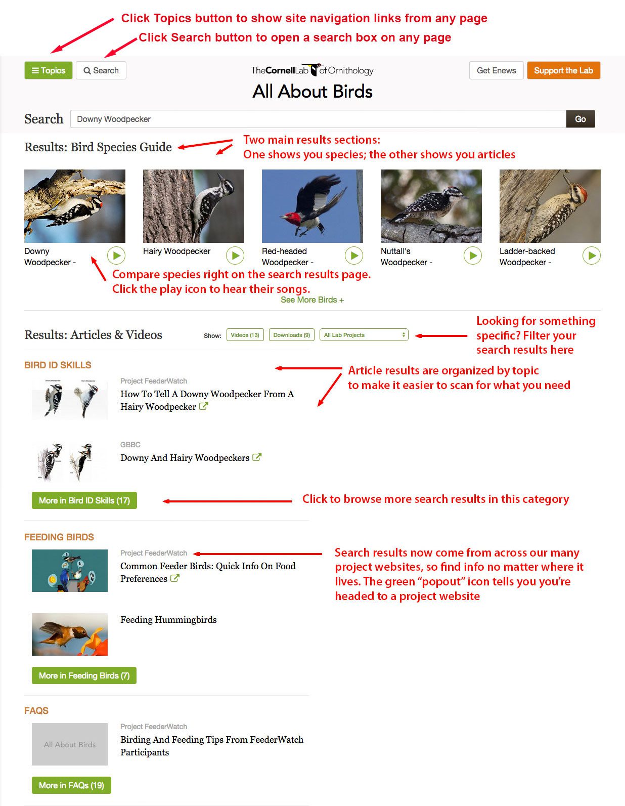 new features added to All About Birds search page