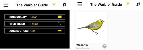 demo of warbler guide app filtering feature with wilson's warbler