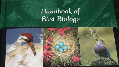 Home Study Course in Bird Biology