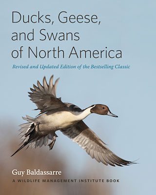 Book Review: Ducks, Geese, and Swans of North America, by Guy Baldassarre