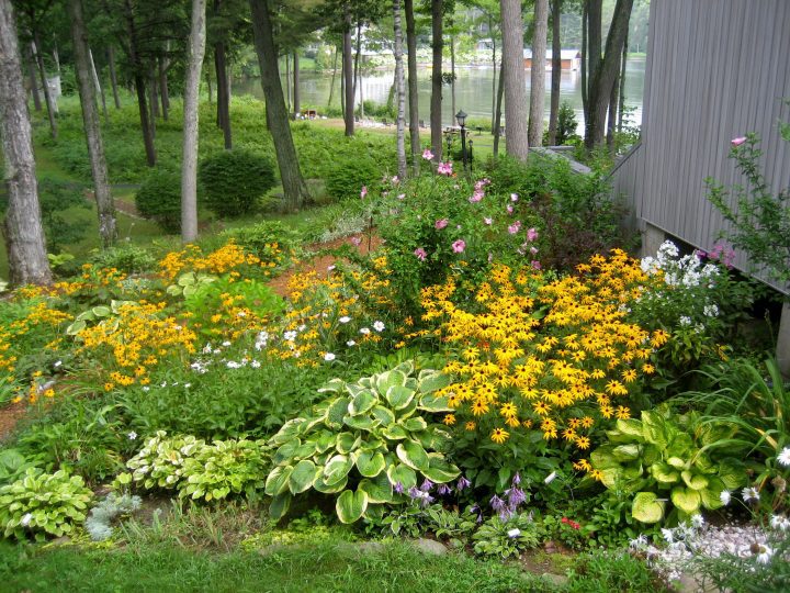 Messy garden in the Adirondacks. By Carol Norquist.