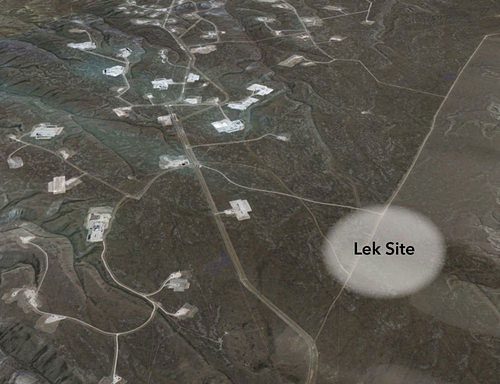 This satellite image, from 2014, shows the approximate location of the lek in the two photographs above. The closest well pad is about 1,000 yards from the lek.