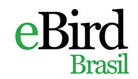 eBird Brazil
