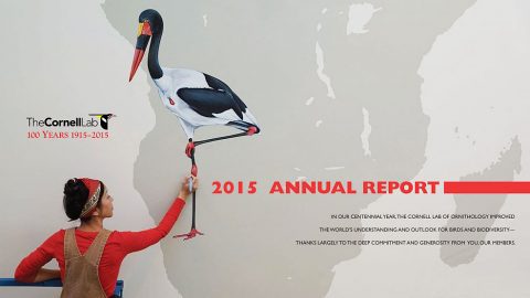 Jane Kim paints the mural annual report 2015