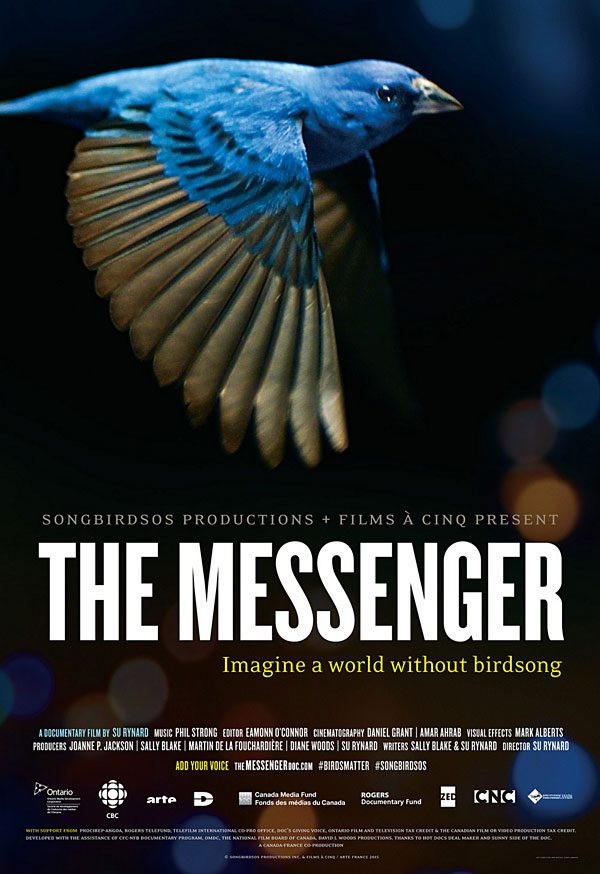 The Messenger film poster