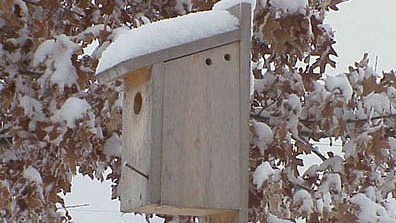 Winter birdhouse by Tammie Sanders