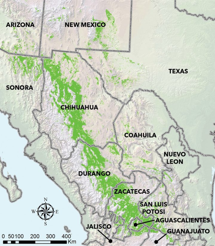 The Chihuahuan grasslands are scattered across 175,000 square miles in Mexico and the United States. Map Source: Bird Conservancy of the Rockies.