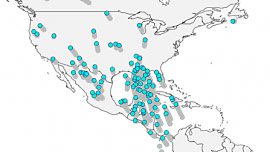 eBird LaSorte migration map