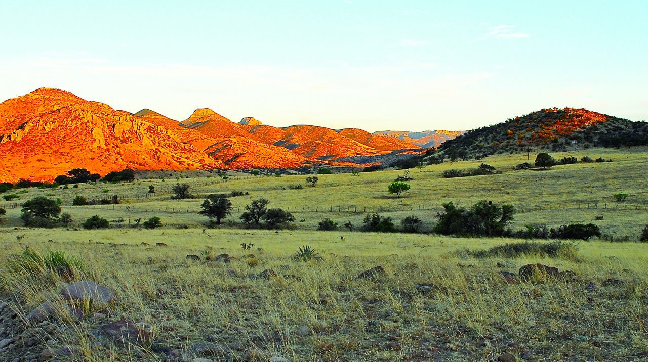 Sustainable grazing is helping preserve grasslands but these areas remain under pressure from human development and conversion to farmland. Photo by Tim Gallagher.