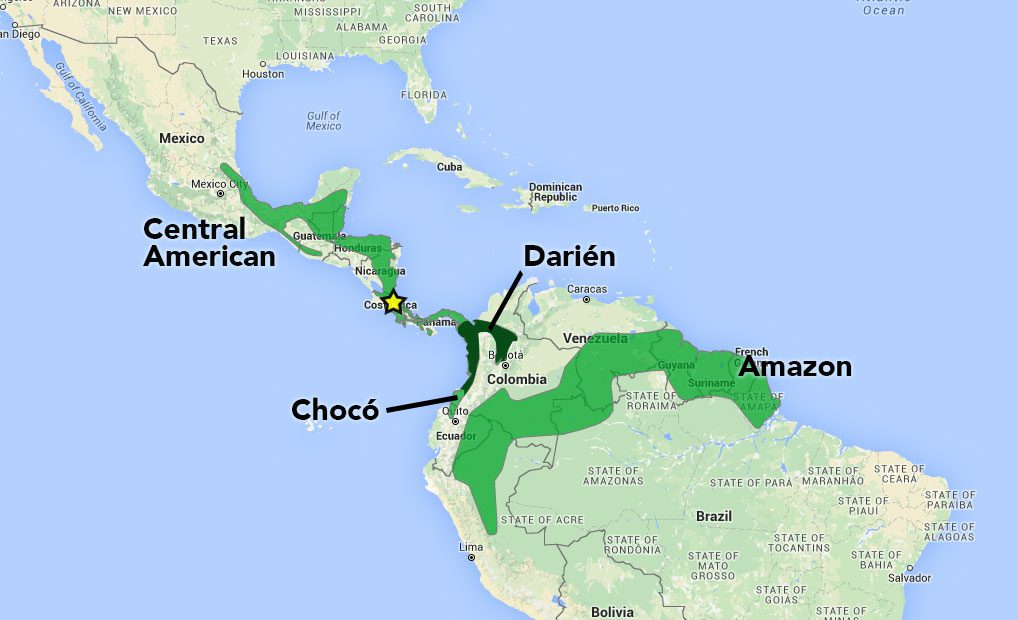 The fieldwork was done in Costa Rica with the Central American population of White-breasted Wood-Wrens. Researchers played back recorded songs of wrens from isolated populations in the Chocó and the Amazon regions. (The distribution of the Darién population is unclear and was not used in this study.) Base map from BirdLife International and NatureServe