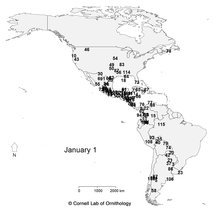 animated map of migrants in western hemisphere - species identified