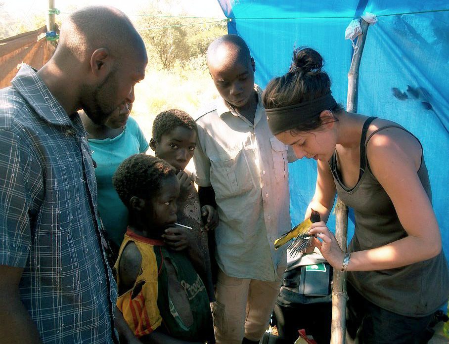 Holly Lutz examines a bird in Mozambique.