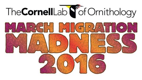 2016 March Migration Madness