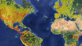 World Map eBird