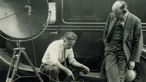 Peter Paul Kellogg (left) and Albert Brand with early 1930s sound-recording equipment. Photo courtesy of Cornell Lab Archives.