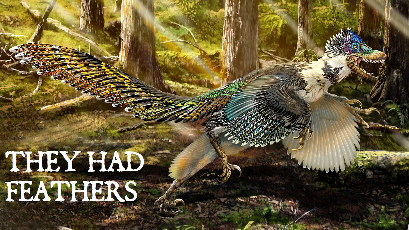 They Had Feathers: Is the World Ready to See Dinosaurs as They Really Were?  | All About Birds All About Birds