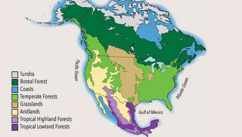 Map of major habitats of North America. State of North America