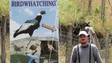 Brian Henderson, May 2016 eBirder of the MOnth