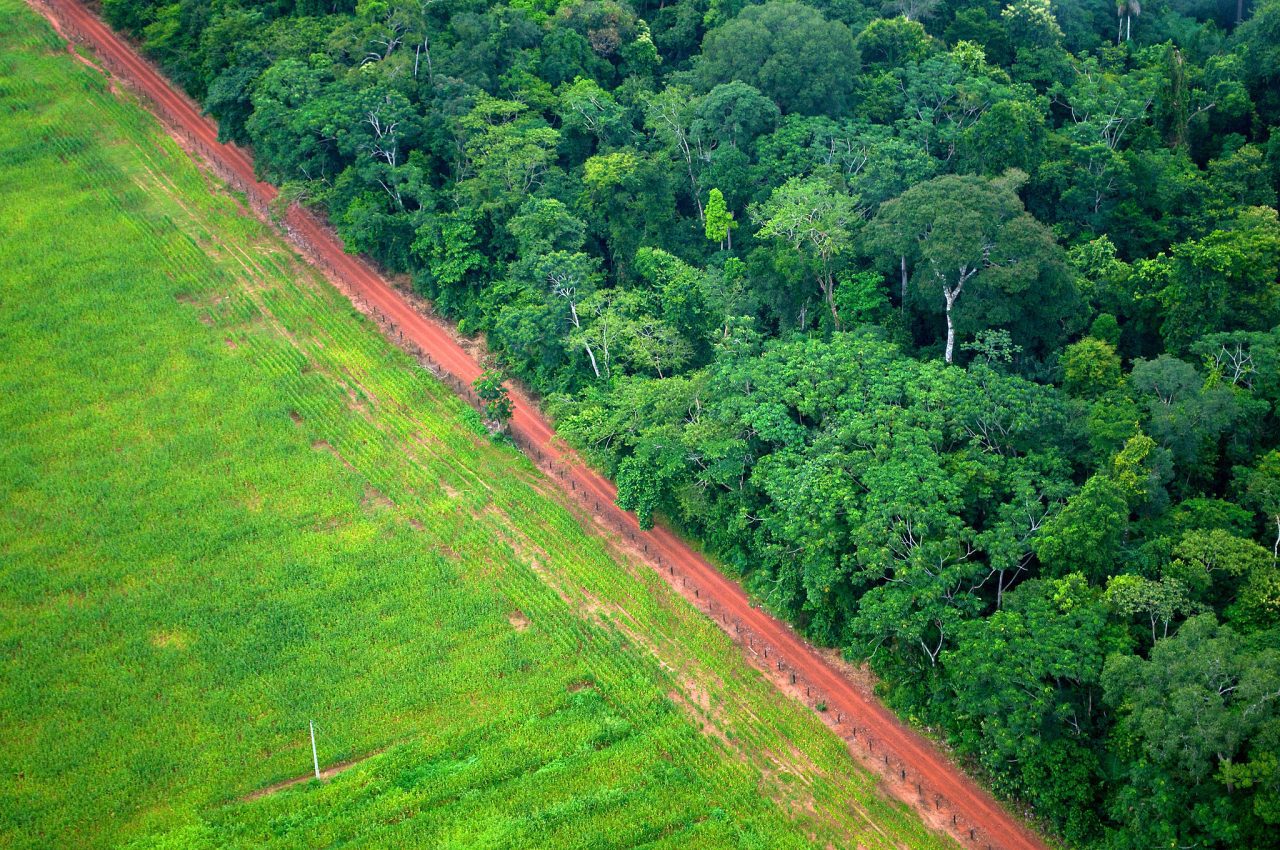 An aerial shot illustrates the contrast between forest and agricultural landscapes in Brazil. Photo by Kate Evans for Center for International Forestry Research (CIFOR)