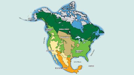 State of North America's Birds 9 ecosystem map