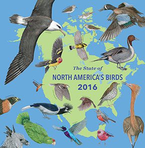 State of North America's Birds