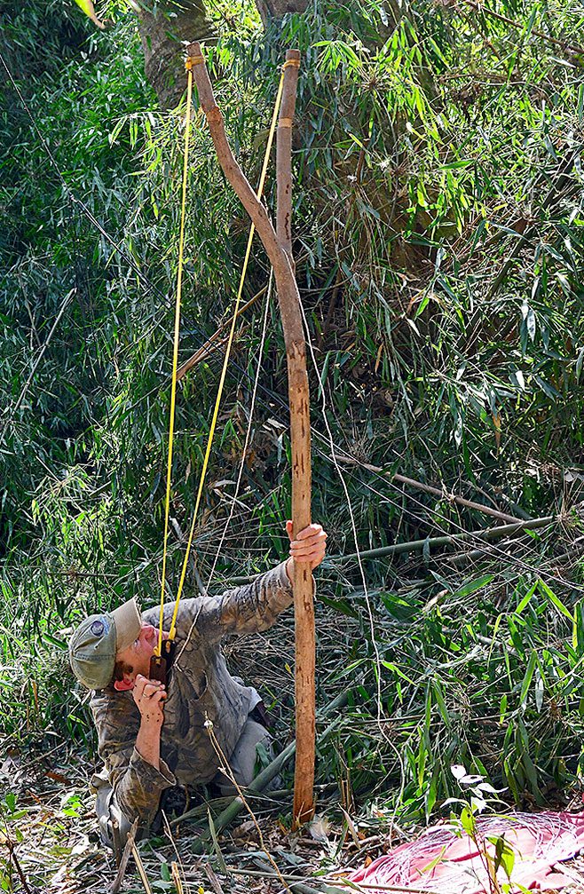 After cutting a broad swath through the bamboo undergrowth beside a Helmeted Woodpecker roost cavity, Lammertink uses a giant slingshot to rocket a weighted line over a limb high above him. He and his crew will install a network of guy lines enabling them to raise and lower a mist net as easily as a sail. Photo by Tim Gallagher.