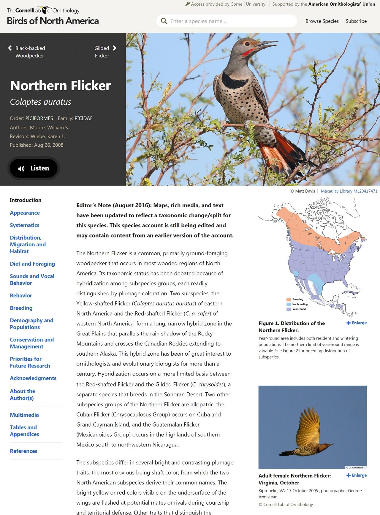 Northern Flicker is just one of the over 750 species of North American birds that you can read about on Birds of North America.