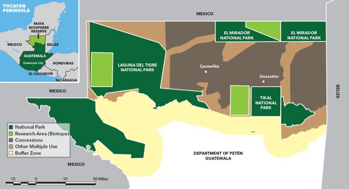 The Maya Biosphere Reserve consists of a patchwork of national parks (dark green), research areas (light green), and privately managed concessions (brown). Maya Biosphere Reserve map from WCS-CEMEC