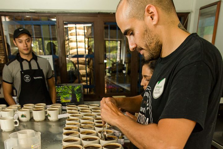The coffee tasting laboratory at the De Los Andes Cooperativa. Photo by Guillermo Santos