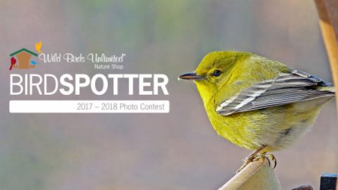 Birdspotter17-18