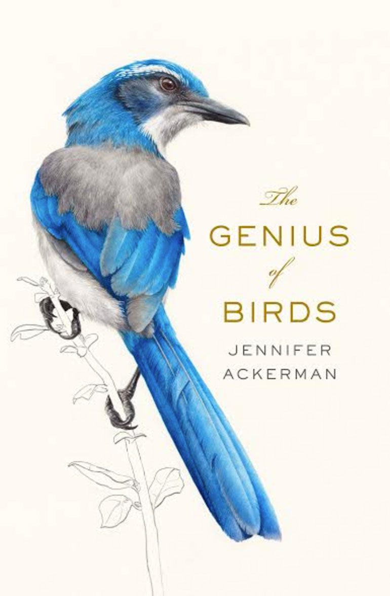 cover of genius of birds by jennifer ackerman