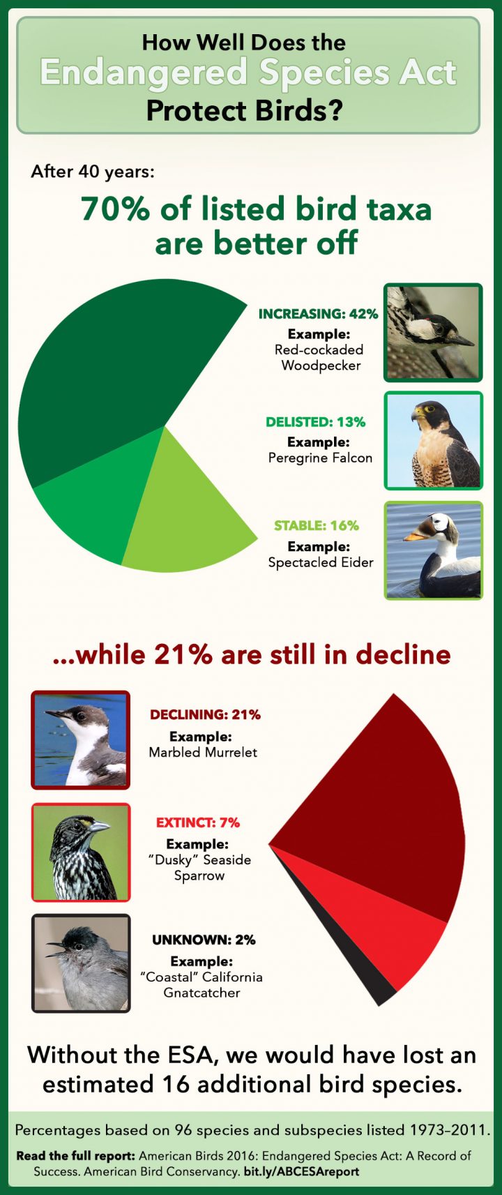 Endangered Animals Pie Chart