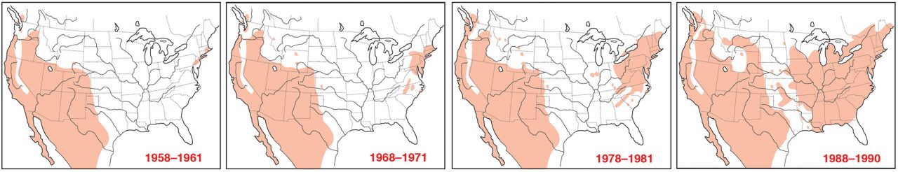 House Finch movement across North America