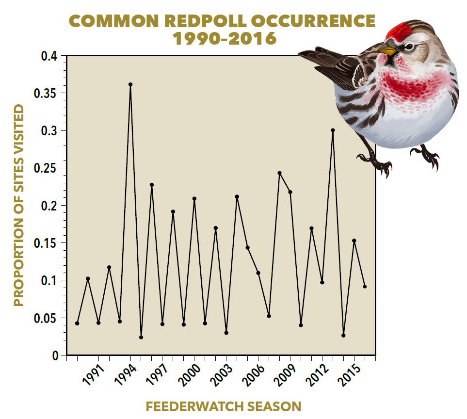 The peak/valley pattern in Project FeederWatch data for Redpolls has skipped a few beats recently. Illustation by Virginia Greene