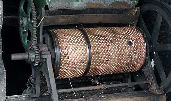 La familia de Verónica utiliza una antigua prensa despulpadora para extraer los granos de las bayas del café.