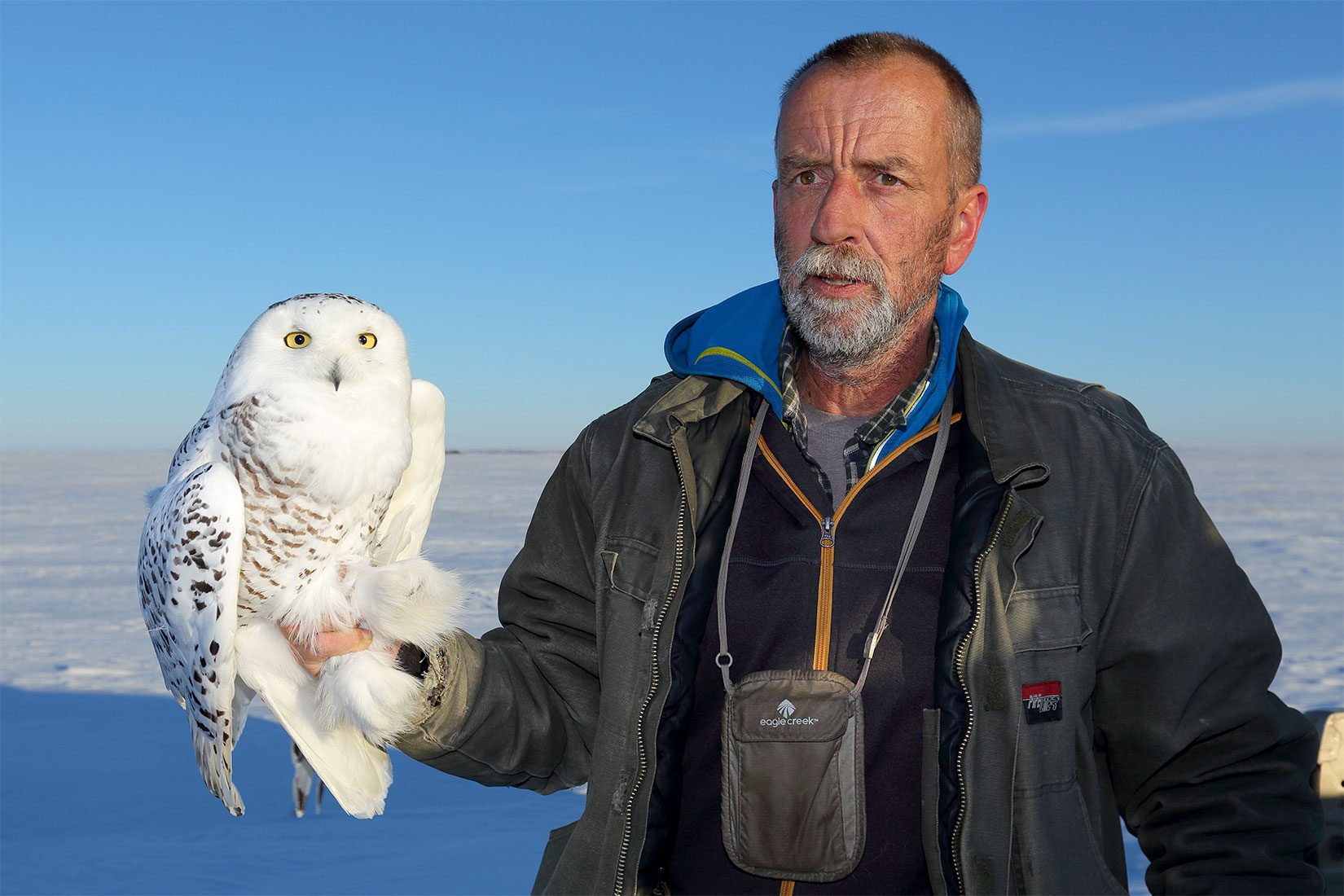 Marten Stoffel with Snowy Owl by Daniel Dupont