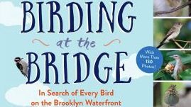 Birding at the Bridge by Heather Wolf