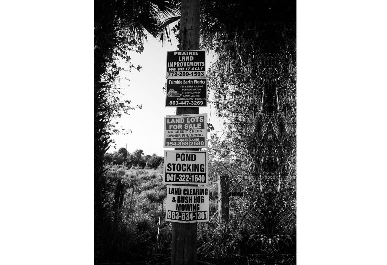 Land for sale signs. By Dustin Angell