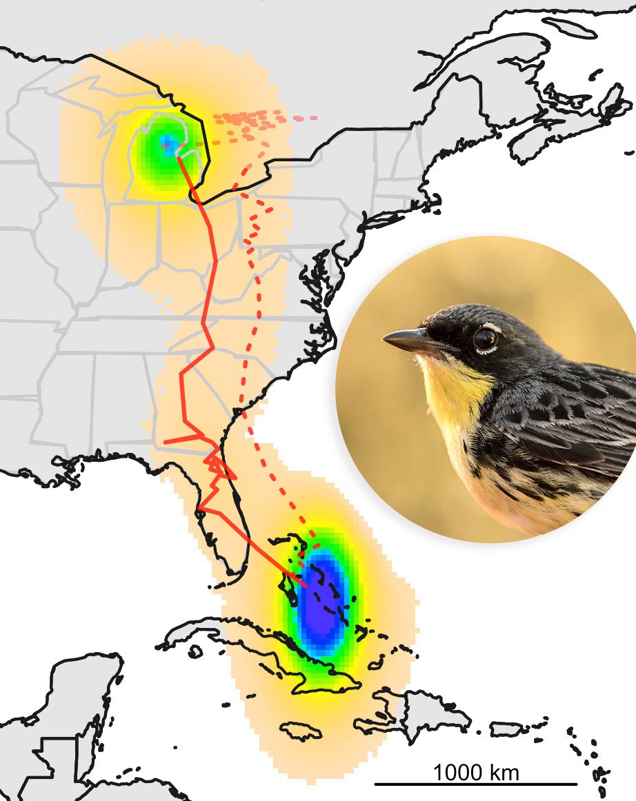 Map of Kirtlands Warbler, Cooper et al, Journal of Avian Biology 2017,